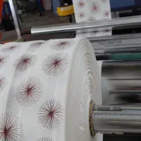 سفره یکبار مصرف اراس پلاس دنیز|ظروف نگهدارنده، پلاستیکی، یک‌بارمصرف|برخوار, |دیوار