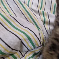 چادر ۲۰۶.   .۲۰۷
