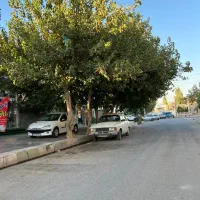 ۲۹۰مترزمین/چهاردیواری/بافت/سهیلیه/زعفرانیه کردان|فروش زمین و ملک کلنگی|کرج, اتحاد|دیوار