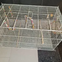 قفس پرون بزرگ|لوازم جانبی حیوانات|شیراز, اصلاحنژاد|دیوار