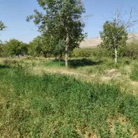 فروش باغ ویلایی در باغ شهر اسکو|فروش زمین و ملک کلنگی|اسکو, |دیوار