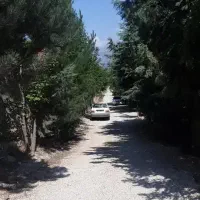 فروش-زمین-و-باغ-در-واوسر-لنگر-کوات