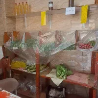 وسایل میوه فروشی|فروشگاه و مغازه|شیراز, محراب|دیوار