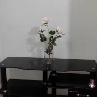 میز تلویزیون شیشه ای|میز تلویزیون|مشهد, محمدآباد|دیوار