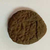 شهاب سنگ باستانی