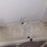 گهواره نو نوزاد|تخت و صندلی بچه|بوشهر, |دیوار