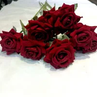 کار در خانه|گل مصنوعی|سبزوار, غرب نیروگاه|دیوار