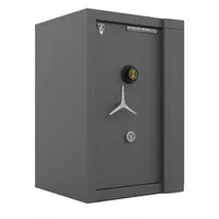 گاوصندوق گنجینه مدل 900en