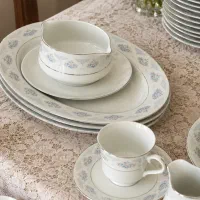سرویس چینی دلوکس چین Deluxe