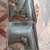 یه قفس بزرگ و جادار|لوازم جانبی حیوانات|اندیمشک, |دیوار