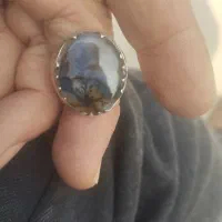 انگشتر شجر|جواهرات|آفتاب, |دیوار