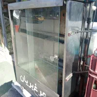 فر جوجه گردان