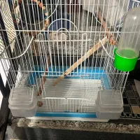 قفس|لوازم جانبی حیوانات|شهرکرد, |دیوار