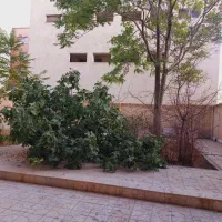 زمین-گلبافت-360متری-با-نقشه-پروانه