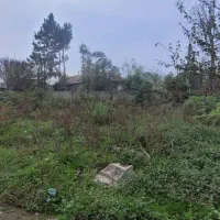 250-متر-مسکونی-سند-تک-برگ-در-خرفکل-شفت