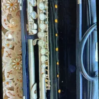 ساز بادی|سازهای بادی|کرج, باغستان|دیوار