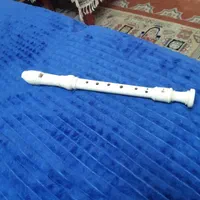 فلوت|سازهای بادی|اصفهان, باغ نگاره|دیوار