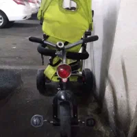 سه چرخه فلامینگو