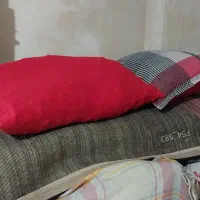 بالش.پتو.نالین.لحاف|رختخواب، بالش، پتو|گرگان, |دیوار