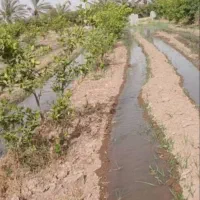 فروش-باغچه-برقدار-شمس-اباد