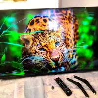 ال ای دی 43 اینچ بست جدید دوپایه آکبند نونو به شرط