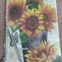 دفتر ، خودکار ، ضامن ،وام.خاش