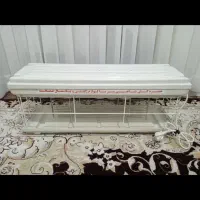 حشره کش