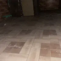 فنچ نر و ماده