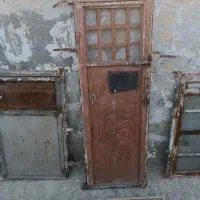 کفتر سار  ماده،در چخ وقفل کفتر،نورافکن دونخور کفتر|پرنده|مشهد, کوی دروی|دیوار