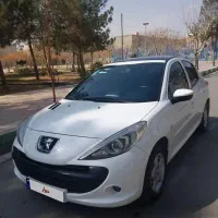 207 پانا 1402 در حد خشک