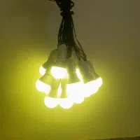 اجاره کرایه ریسه و پروژکتور و لامپ چراغ  عروسی