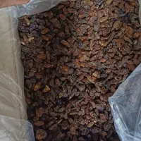 کشمش آفتابی آبگیری|خوردنی و آشامیدنی|ساوه, |دیوار