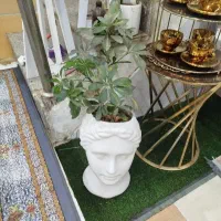 گل و گلدان