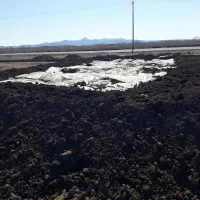 کود فرآوری شده ضد شوری