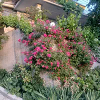 ویلا مهمانسرای مادر بزرگ فارس سپیدان روستای سربست|اجارهٔ کوتاه‌مدت ویلا و باغ|شیراز, ارم|دیوار