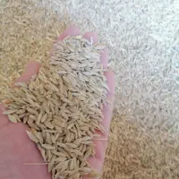 جو آبی