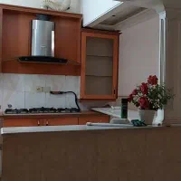 هود استیل مارک BMG بی ام جی لمسی|هود|قم, آزادگان|دیوار