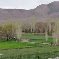 آبیاری درخت