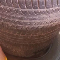 لاستیک کویر در شادگن