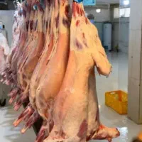 قصاب ماهر و نیمه ماهر و نیروی ساده