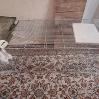 قفس پرنده خرگوش همستر جوجه مرغ سنجاب