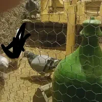 سلام 3تا کبوتر نر|پرنده|برازجان, |دیوار