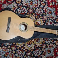 گیتار دالاهو چوب توت