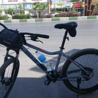 دوچرخه اورلورد اصلی تنه جاینتی