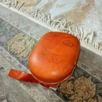 میت بوکس|تجهیزات ورزشی|محمدشهر, همایون ویلا|دیوار