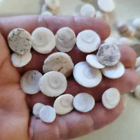مهره