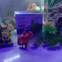 آکواریوم با تمامی تجهیزات|ماهی|لنگرود, |دیوار