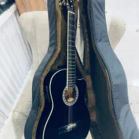 گیتار خارجی پیک اپ دار