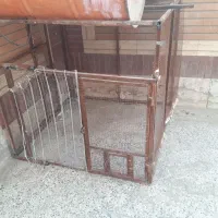 تور بزرگ برای پرنده