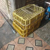 دوعدد قفسه مرغ یکیش نوهست ویکیش درحد نو دربراش|لوازم جانبی حیوانات|ایذه, |دیوار